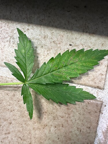 Growreport Bild 19