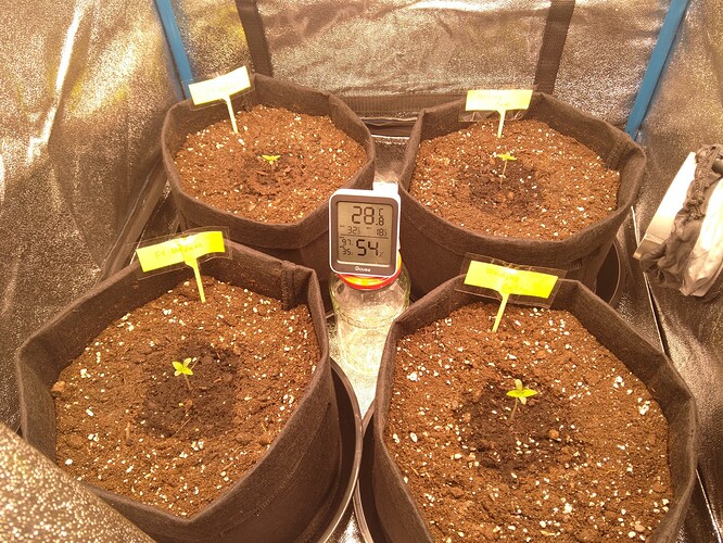 Growreport Bild 5