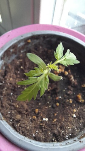 Growreport Bild 10