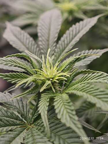 Growreport Bild 21