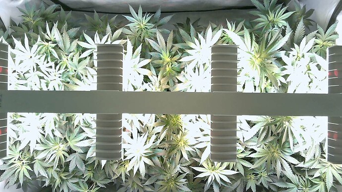 Growreport Bild 2
