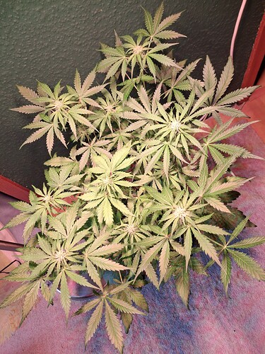 Growreport Bild 11