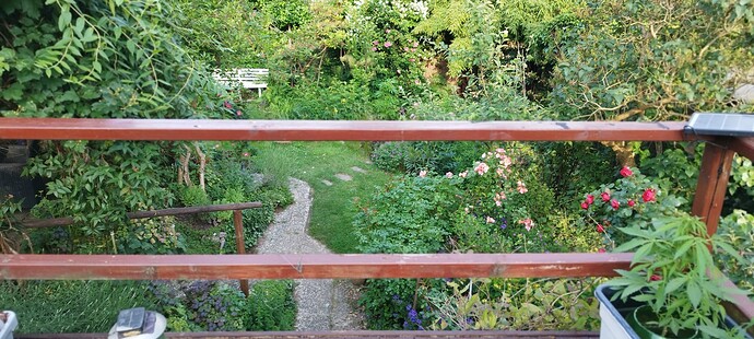 Growreport Bild 25