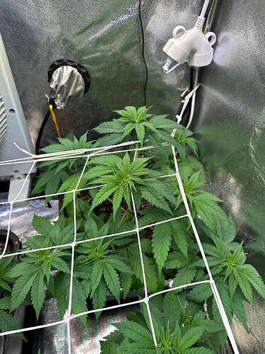 Growreport Bild 13