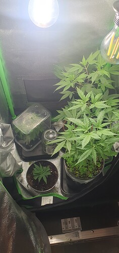 Growreport Bild 9