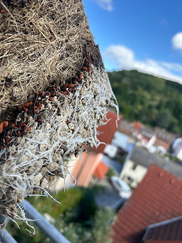 Growreport Bild 26