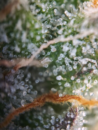 MVIMG_20251116_205330