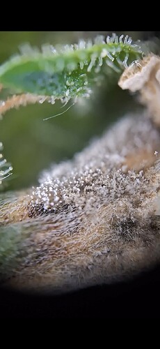 Screenshot_20240625_212811_Gallery