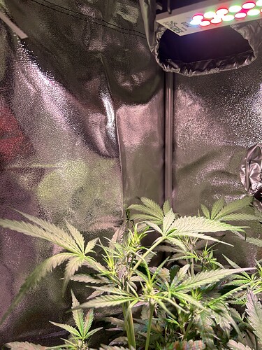 Growreport Bild 11