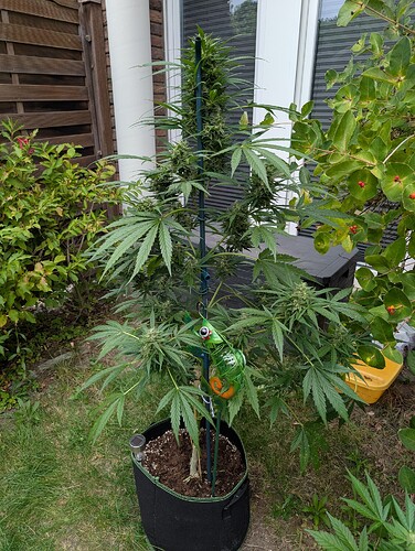 Growreport Bild 12