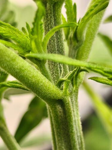 Growreport Bild 5