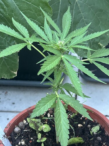 Growreport Bild 47