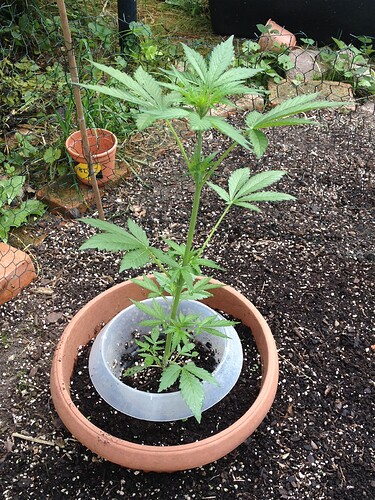 Growreport Bild 15
