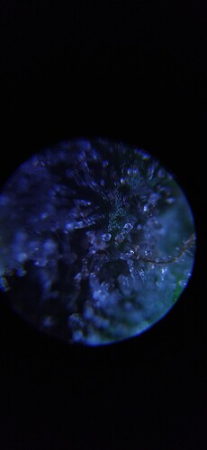 Growreport Bild 10