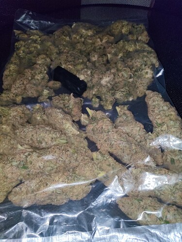 Growreport Bild 12