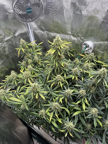 Growreport Bild 4