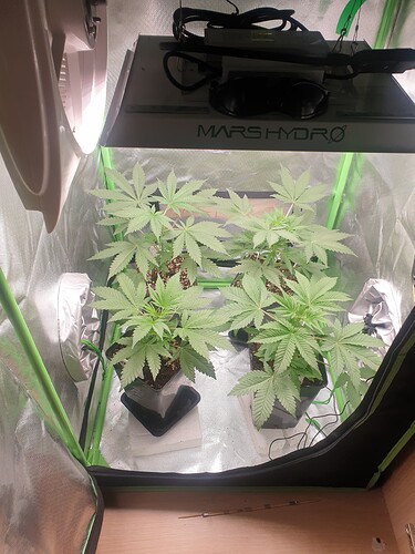 Growreport Bild 2
