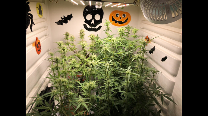 Growreport Bild 22