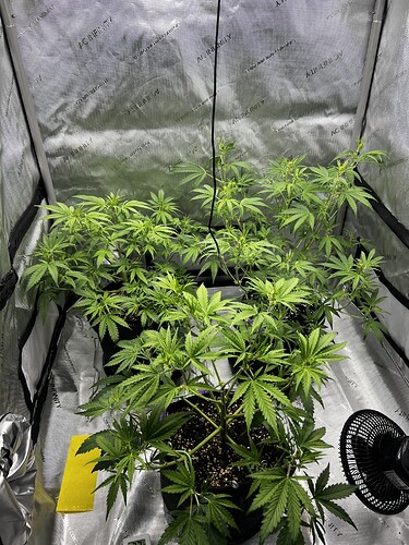 Growreport Bild 3