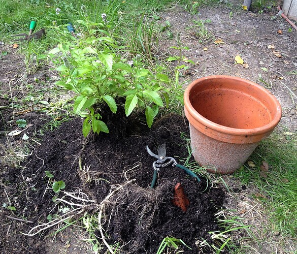 Growreport Bild 5