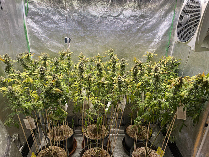 Growreport Bild 6