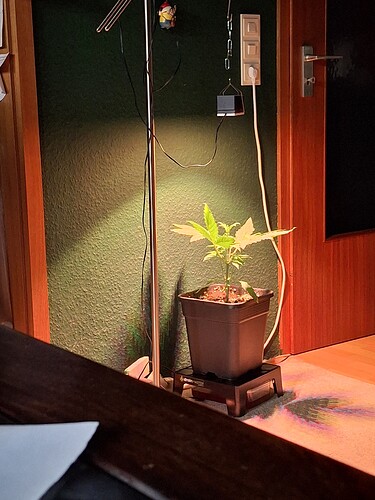 Growreport Bild 10