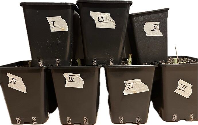 Growreport Bild 13