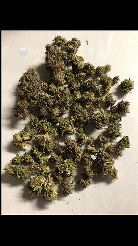 Growreport Bild 6