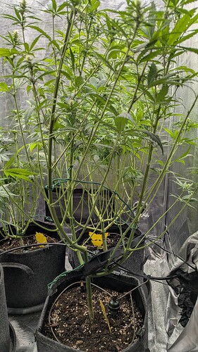 Growreport Bild 11