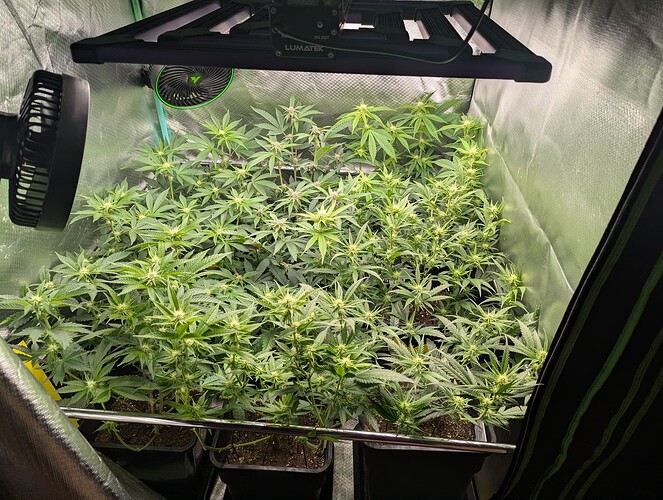 Growreport Bild 1