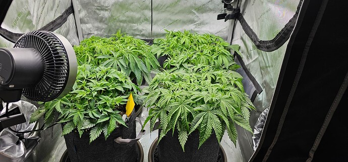 Growreport Bild 1