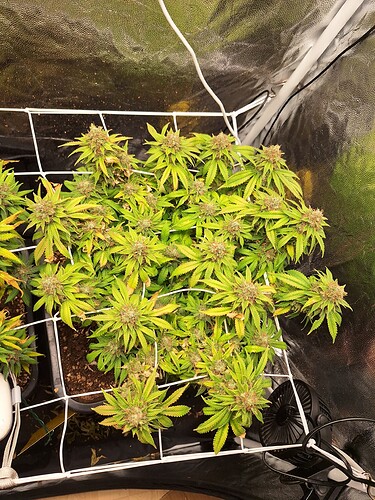 Growreport Bild 10