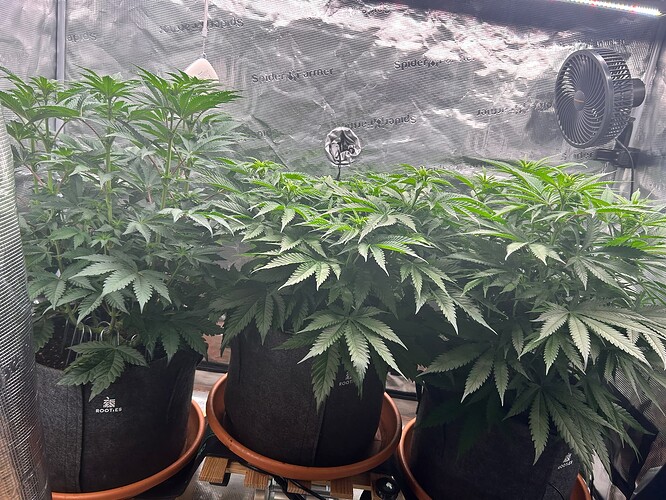 Growreport Bild 11