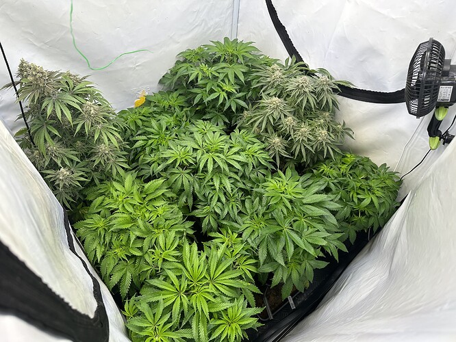 Growreport Bild 5