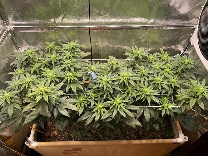 Growreport Bild 2