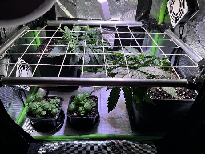 Growreport Bild 11