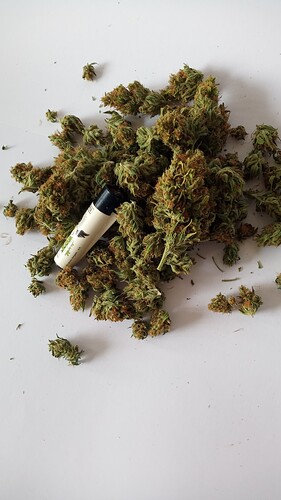 Growreport Bild 5