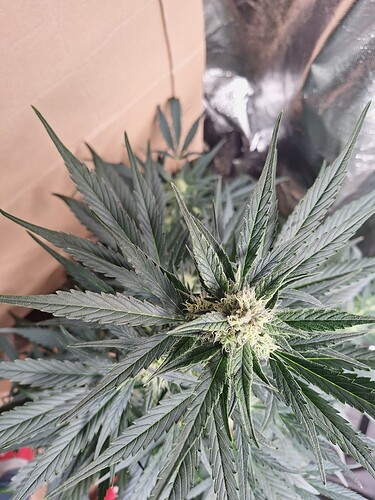 Growreport Bild 18