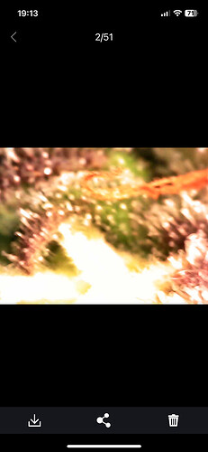 Growreport Bild 4