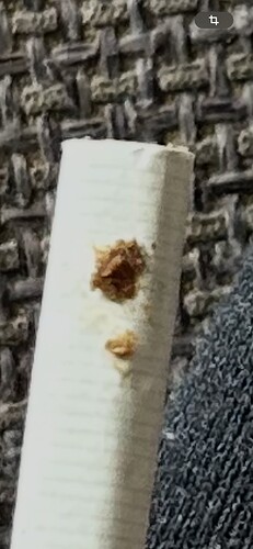 Growreport Bild 46