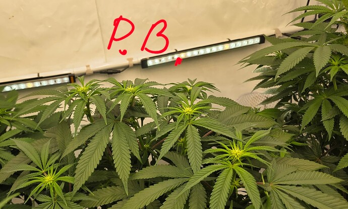 Growreport Bild 18