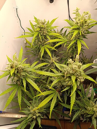 Growreport Bild 21
