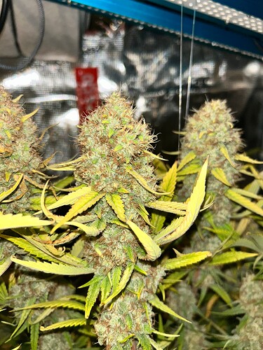 Growreport Bild 14