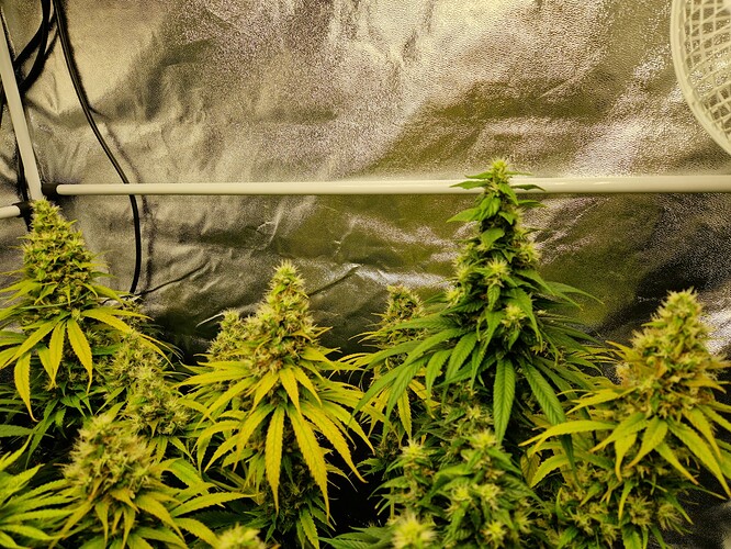 Growreport Bild 11