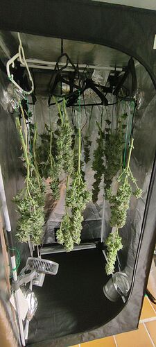 Growreport Bild 17