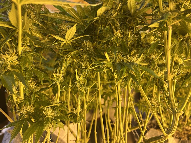 Growreport Bild 2