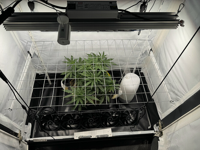 20240508_062201066_iOS