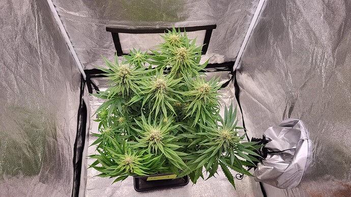 Growreport Bild 18