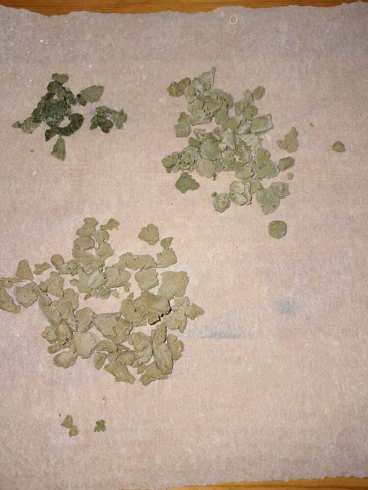 Selfmade Rdwc system Watermelon Punch 1. Hydroponischer durchgang Mainlining toppen Lst und Scrogen