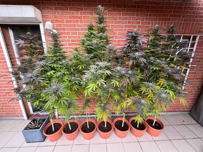 photo_2024-10-20_16-37-56